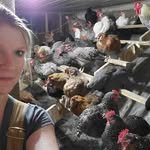 jessicacrazychickenlady 프로필 사진