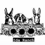 i_da_ranch 프로필 사진