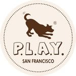 petplay.korea 프로필 사진