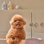 krrngmarket 프로필 사진