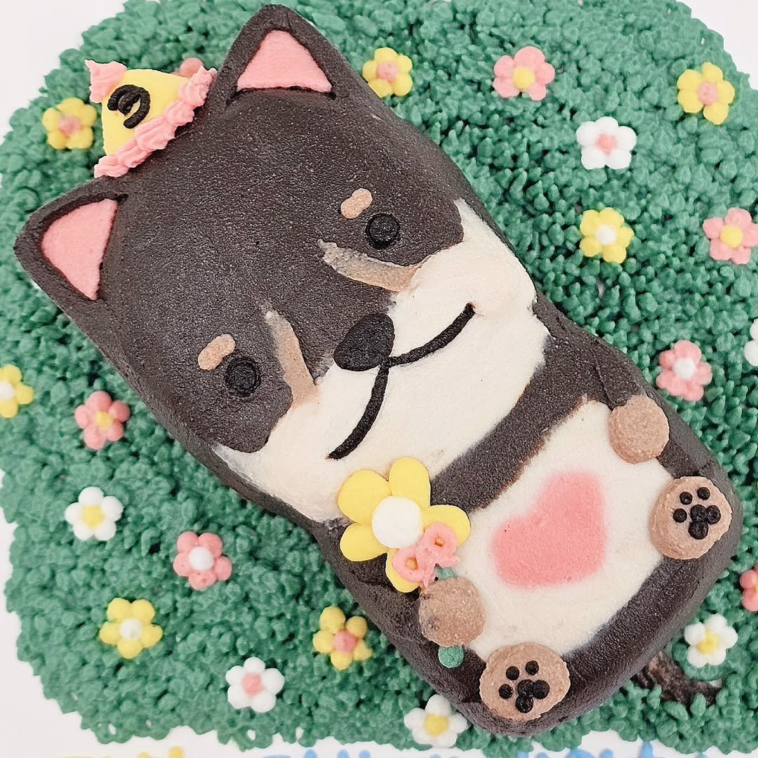 Photo by 더 해피테일│강아지케이크・강아지수제간식・펫푸드클래스 on May 06, 2024.