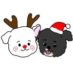 dd.maeul 프로필 사진