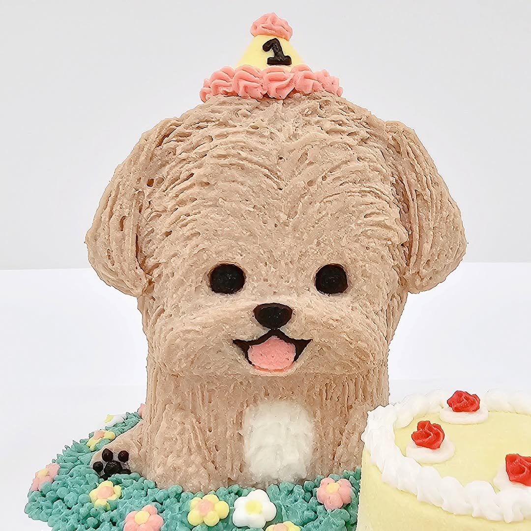 Photo by 더 해피테일│강아지케이크・강아지수제간식・펫푸드클래스 on April 24, 2024.