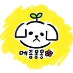 maisonmonmon 프로필 사진