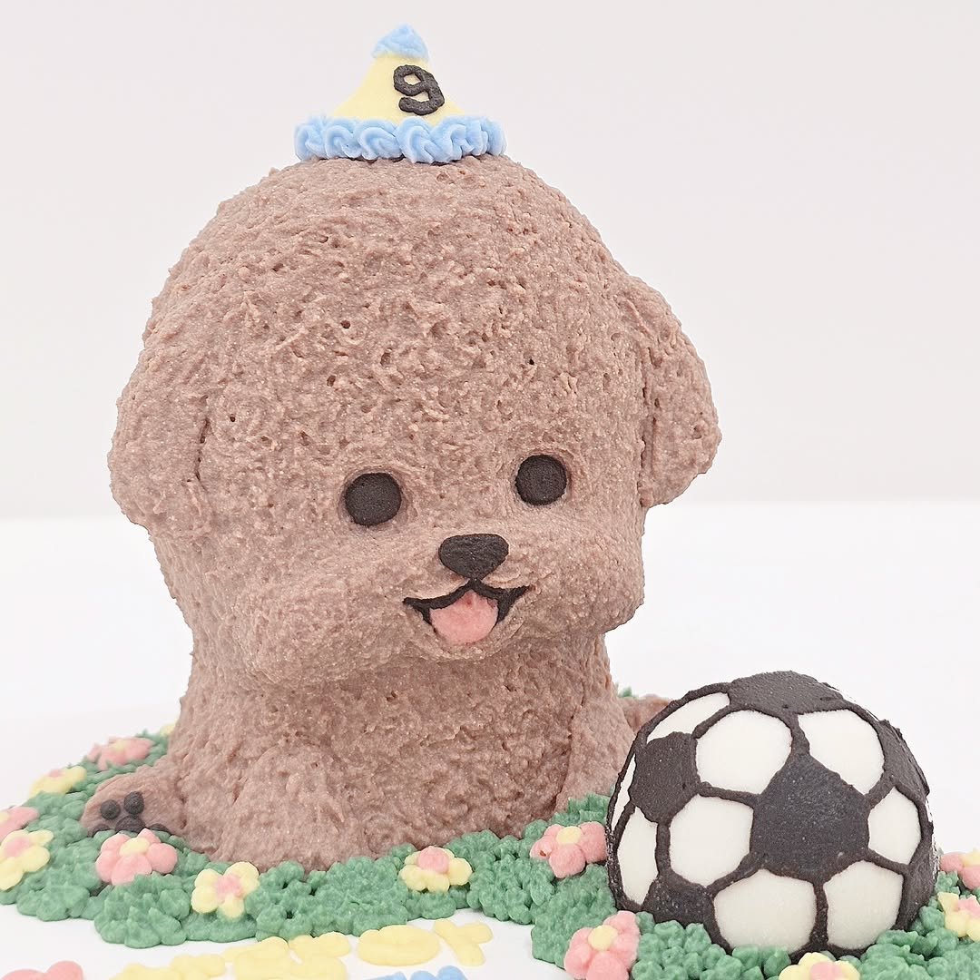 Photo by 더 해피테일│강아지케이크・강아지수제간식・펫푸드클래스 on May 05, 2024.