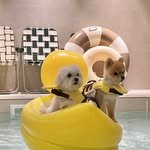 botanikpool 프로필 사진