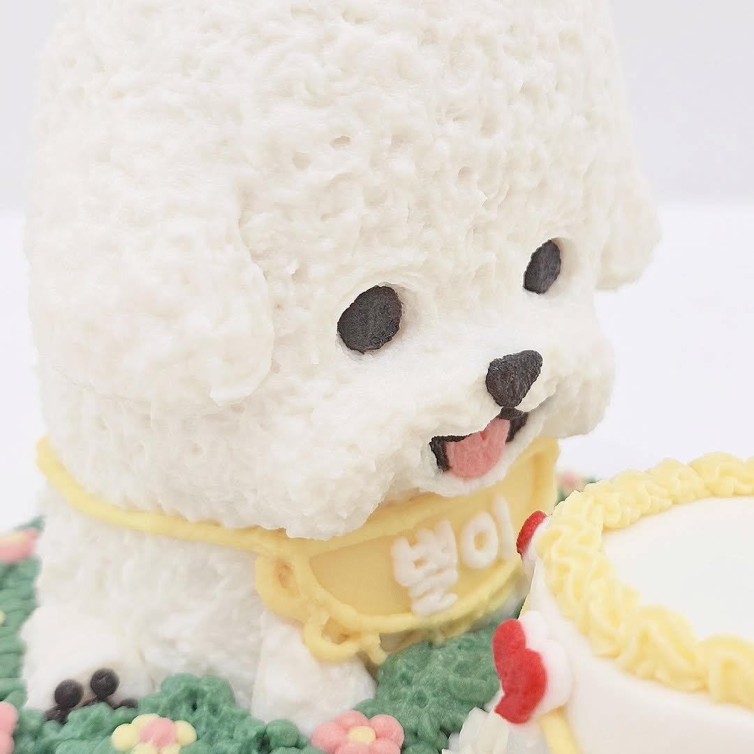 Photo by 더 해피테일│강아지케이크・강아지수제간식・펫푸드클래스 on May 05, 2024.