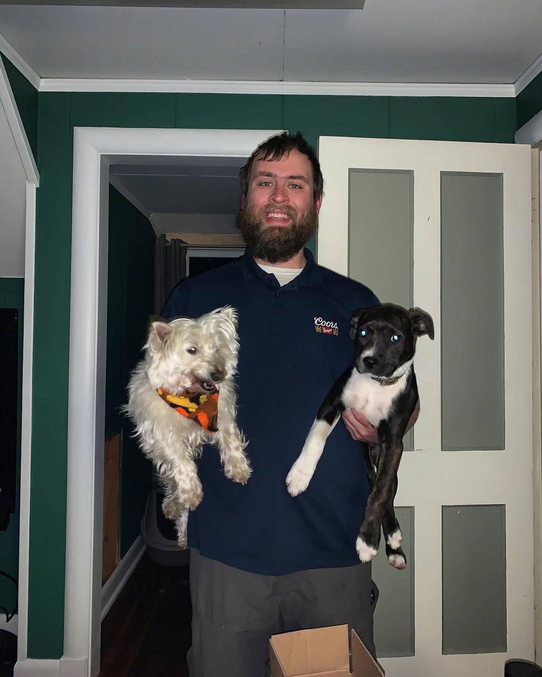 the_neighbor 게시물 이미지: Puppy delivery!