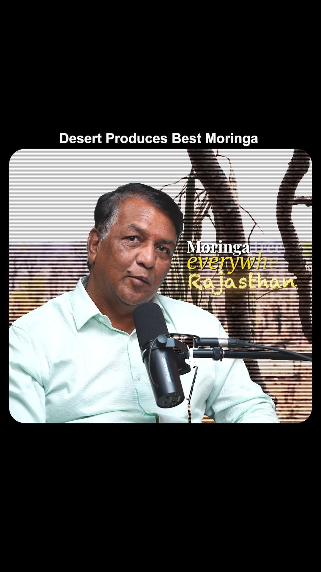 theagritalkshow 게시물 이미지: Rajasthan ka climate Moringa ke liye perfect...