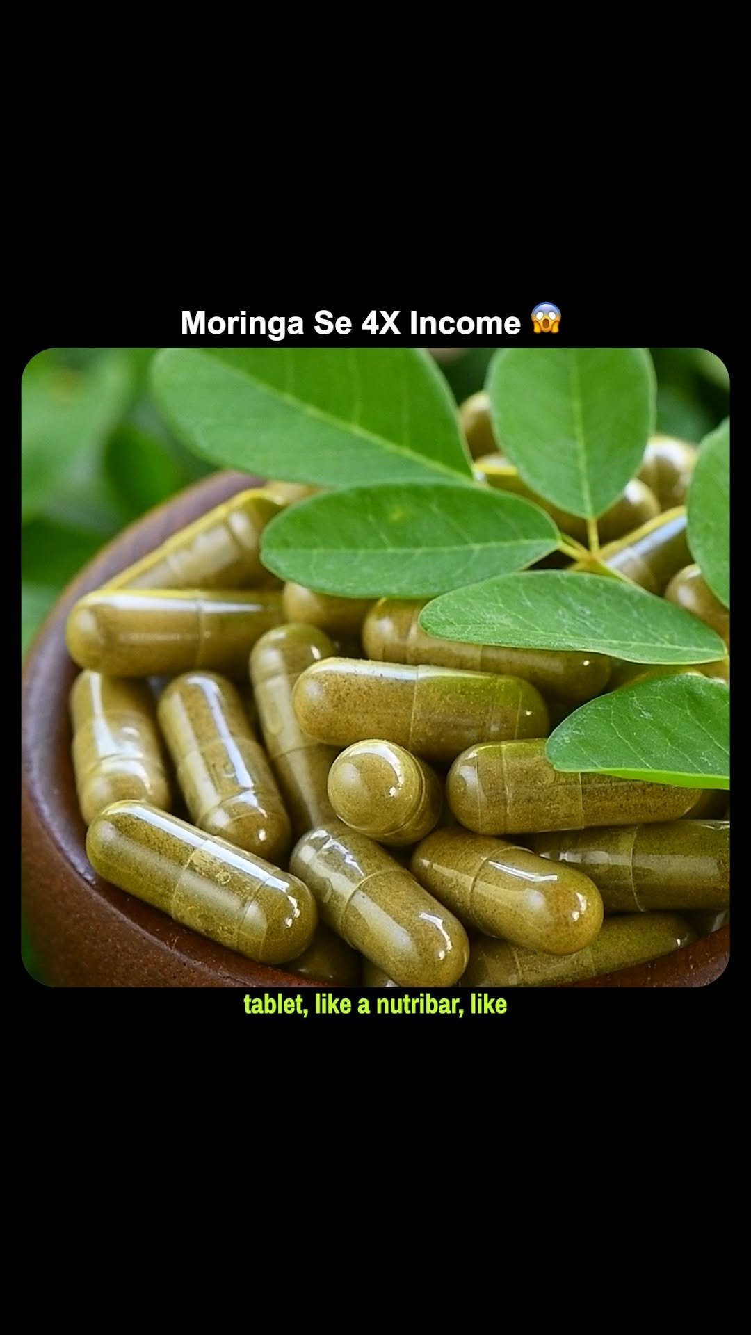 theagritalkshow 게시물 이미지: Moringa se 4x income kaise payein?

moringa 4x...