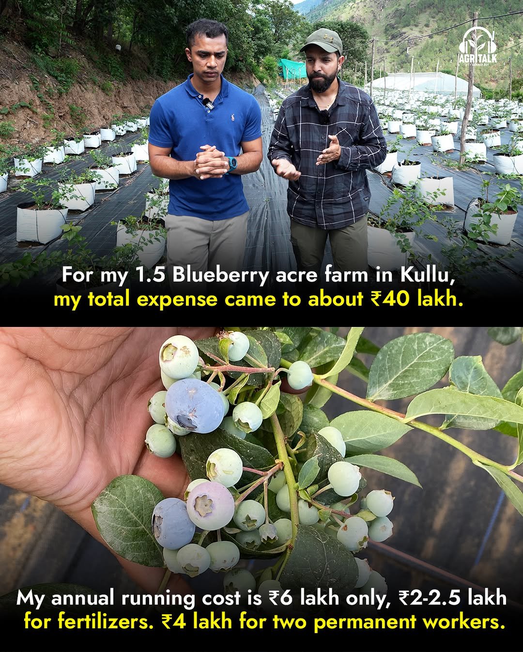 Photo by Theagritalkshow on February 17, 2026. May be an image of longan and text that says 'AGR AGRITAL TALK For my 1.5 Blueberry acre farm in Kullu, my total expense came to about ₹40 lakh. My annual running cost is ₹6 lakh only, ₹2- ₹2-2.5 lakh for fertilizers. ₹4 lakh for two permanent workers.'.