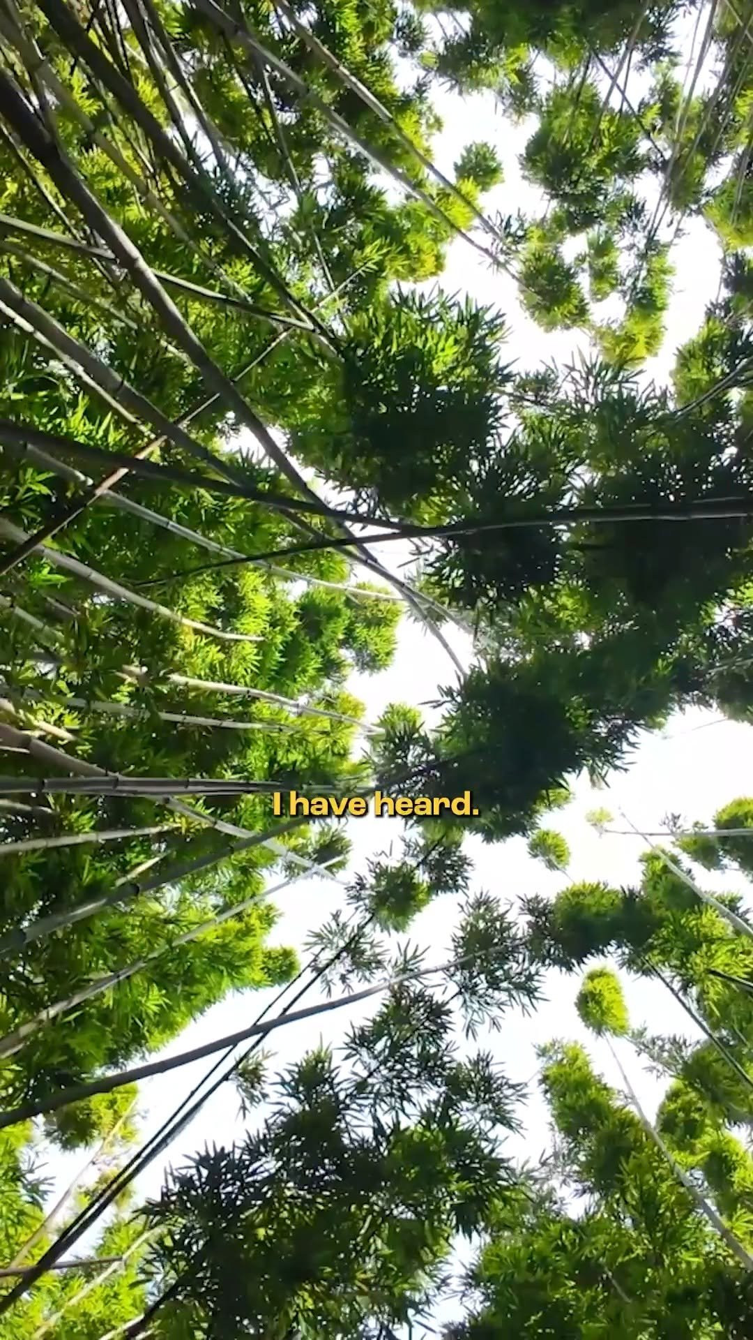 theagritalkshow 게시물 이미지: 