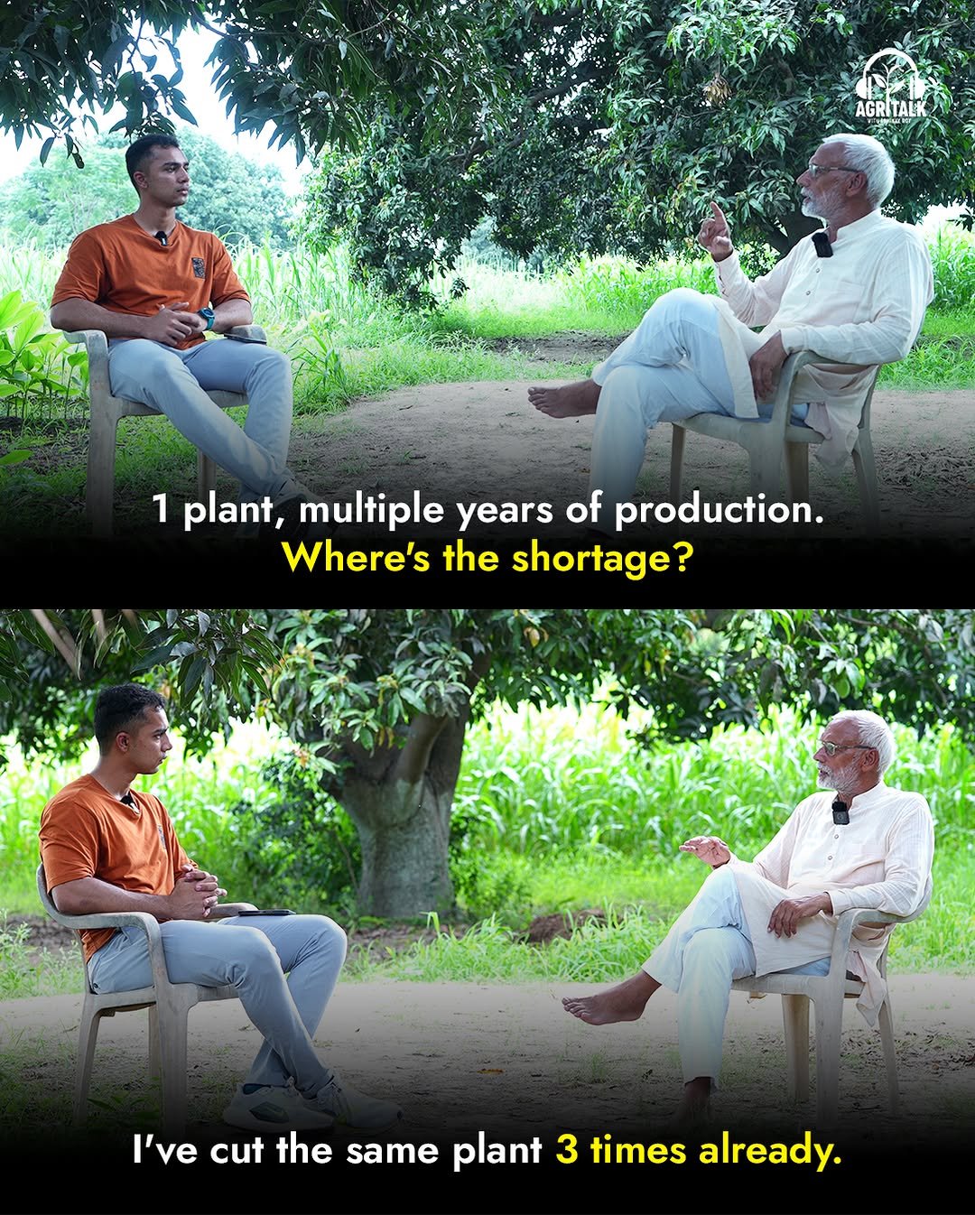 Photo by Theagritalkshow on October 02, 2025. May be a meme of 4 people, poster, plant and text that says 'AGRITAL AGRI TAL 1 plant, multiple years of production. Where's the shortage? ' 'vecuthe_sameplant3timesalready. cut the same plant 3 times already.'.