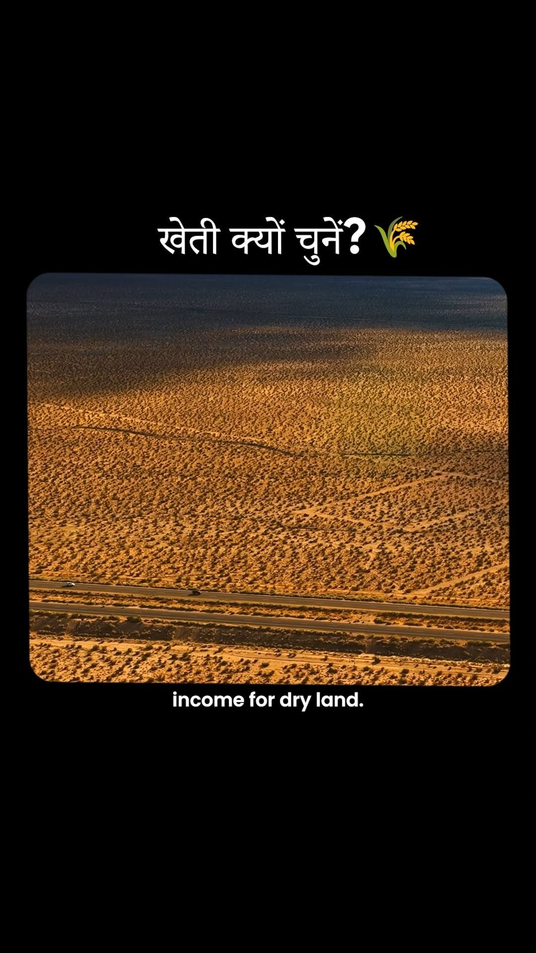 theagritalkshow 게시물 이미지: Kheti sirf kaam nahi, opportunity hai

moringa...