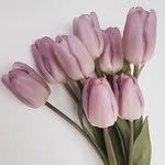 __c.o.z.y 프로필 사진