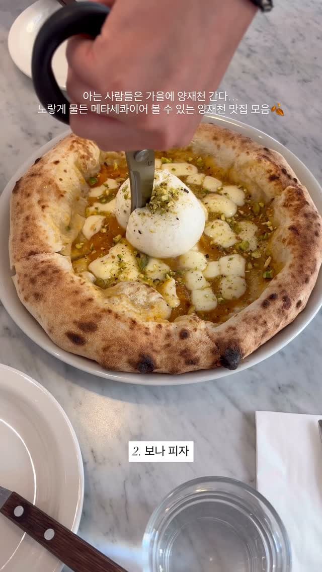 thebiggestbaby_ 게시물 이미지: 가을엔 노랑 메타세콰이어보러 양재천 가야합니다….. 💛
단풍보고 은행보고 맛집 가실...