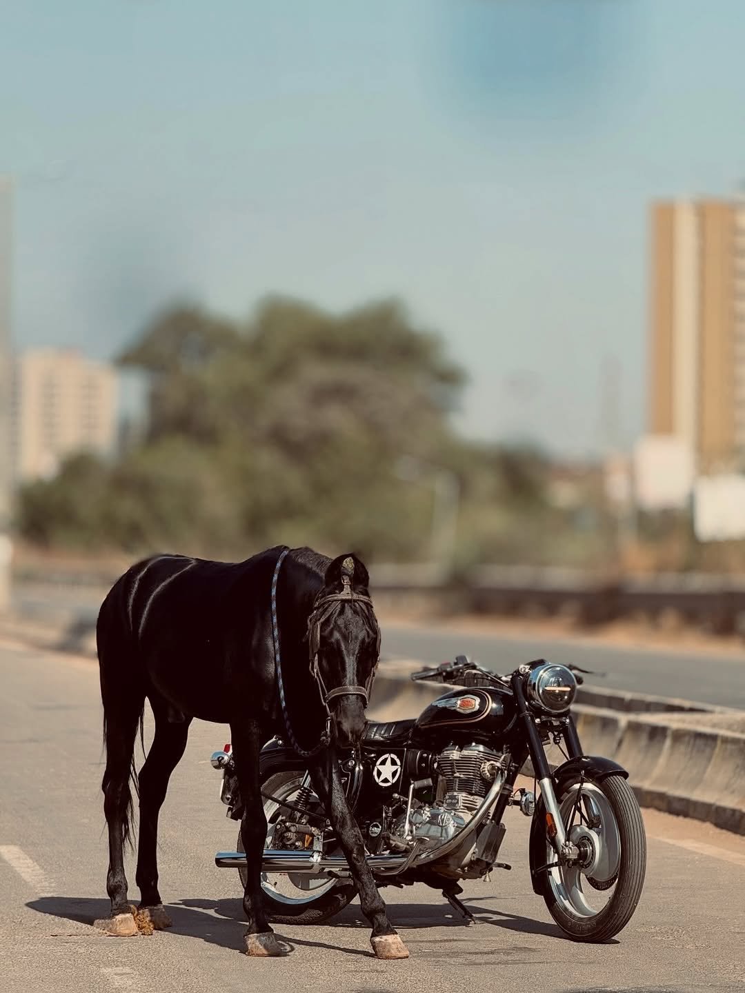 Photo by thebullethub on April 26, 2026. May be an image of horse, pony, scooter, carriage and text.