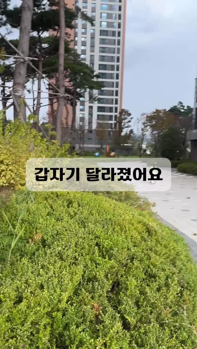 thecalmmomlife 게시물 이미지: 환기하기 좋은 계절이 왔어요🍂
추워지기 전에 창문 활짝 열어놓고 지내는...