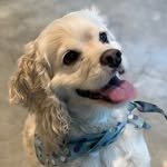 tanizz._.zz 프로필 사진