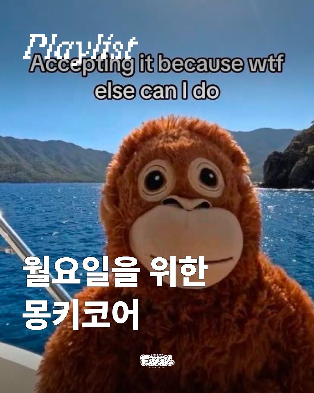 Photo by FAVALL(페이볼)  |  music  •  article  •  etc on January 25, 2026. May be a meme of ‎text that says '‎P/ נמ Accepting Accep it because wtf else can I do 월요일을 위한 몽키코어 Fsvan 海聯育色 ্‎'‎.