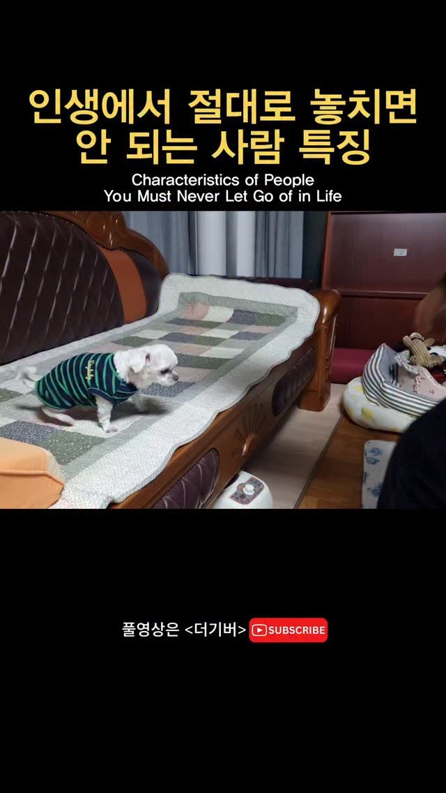 thegiver_official 게시물 이미지: 절대로 놓치면 안 되는 남자/여자 특징

#남친 #여친 #연애 #썸 #결혼