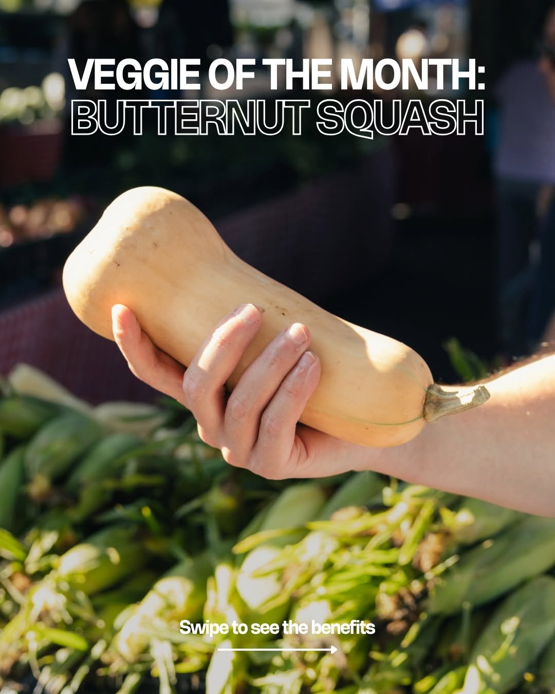 Photo by Will Bulsiewicz MD MSCI | Gastroenterologist on November 06, 2025. May be an image of squash, gourd and text that says 'VEGGIE OF MONTH: BUTTERNUT SQUASH Swipeto to see the benefits'.