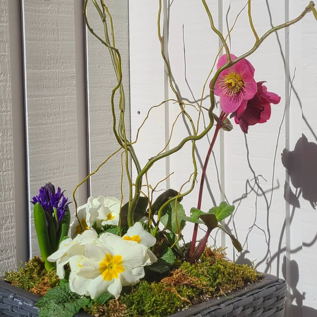 Photo by The Hip Homestead in Vernon, British Columbia with @thehiphomestead, and @nicholas_alexander_co.