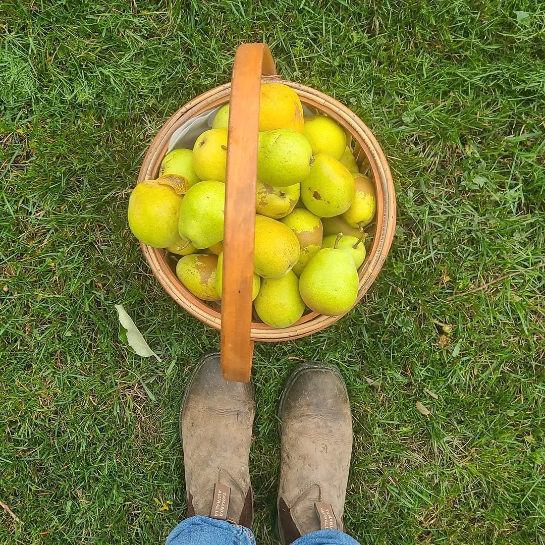 Photo by The Hip Homestead on October 02, 2021.