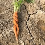 wildflightfarm 프로필 사진