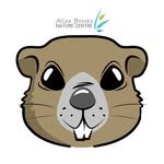 abnc.vernon 프로필 사진