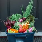 urbanharvestokanagan 프로필 사진