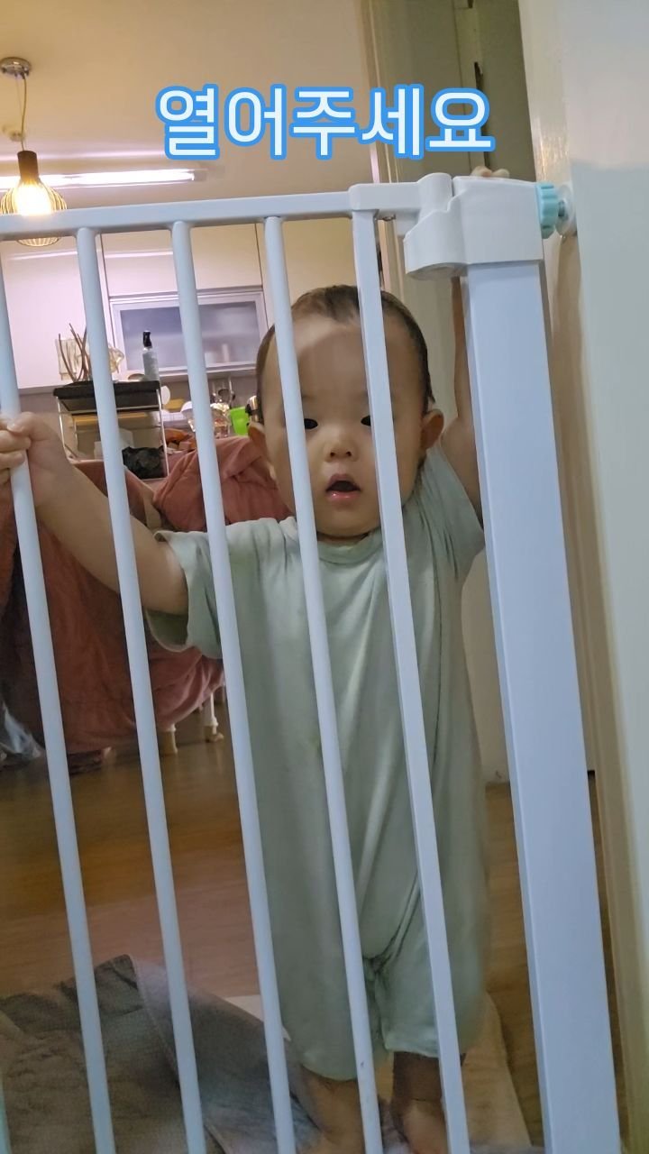 thejunista23 게시물 이미지: 안에서 청소를 하다 쉬는데
떠쥬니가 열어달라고 한다😁❤️

옹알옹알...