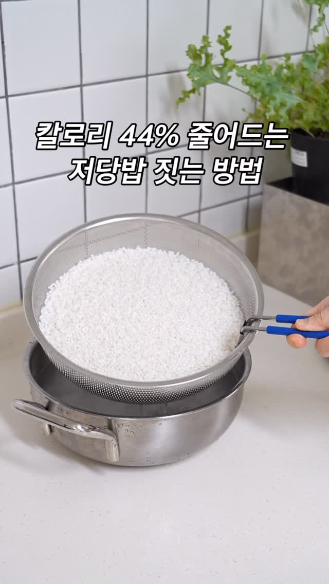 thelee_table 게시물 이미지: .
밥 짓는 방법을 바꿨더니 칼로리가 44% 줄었어요.
저당밥솥이라 하면 플라스틱...