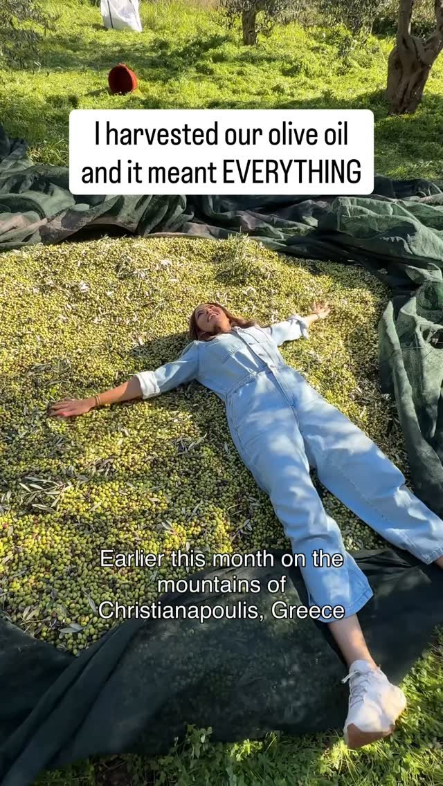 themediterraneandish 게시물 이미지: 🫒 SALE Alert! Our Greek Olive Oils + our...