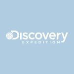 discoveryexpeditionkids_kr 프로필 사진