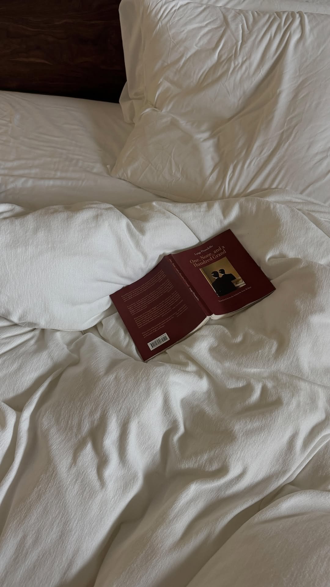 thepostofficegirl 게시물 이미지: One, None, and a Hundred Grand by Luigi...