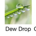 cammyreviews 프로필 사진