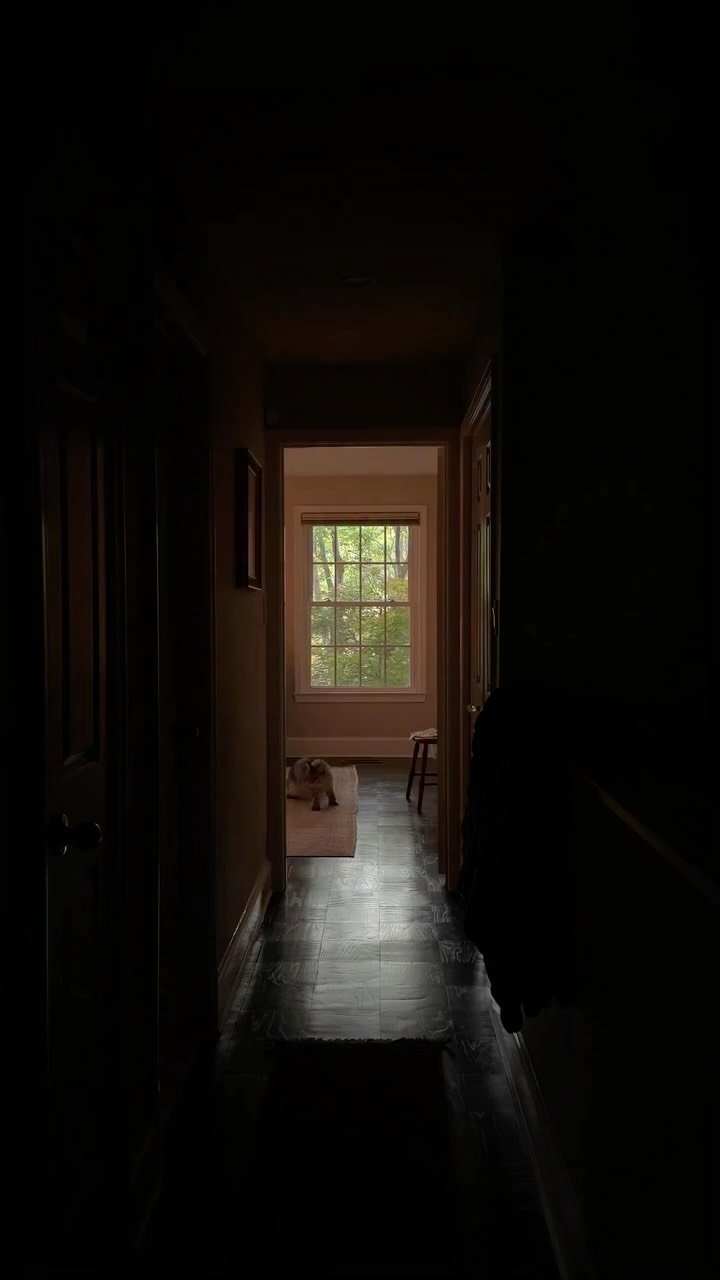 thepostofficegirl 게시물 이미지: I want a summer thunderstorm