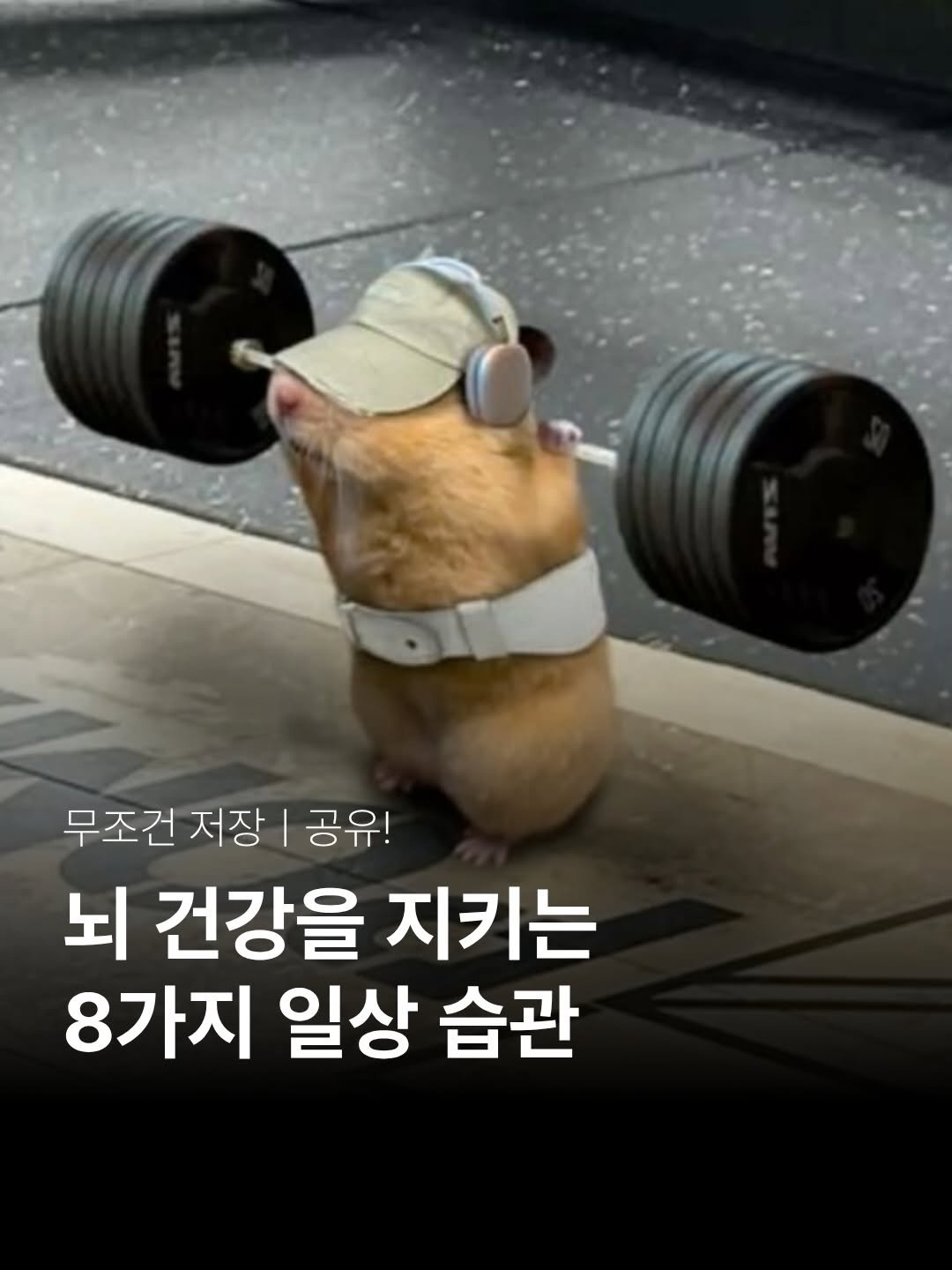 thequest_book 게시물 이미지: 🏋🏻 무조건 저장ㅣ공유!
뇌가 좋아하는 8가지 일상 습관 🌿

우리가 매일 내리는...