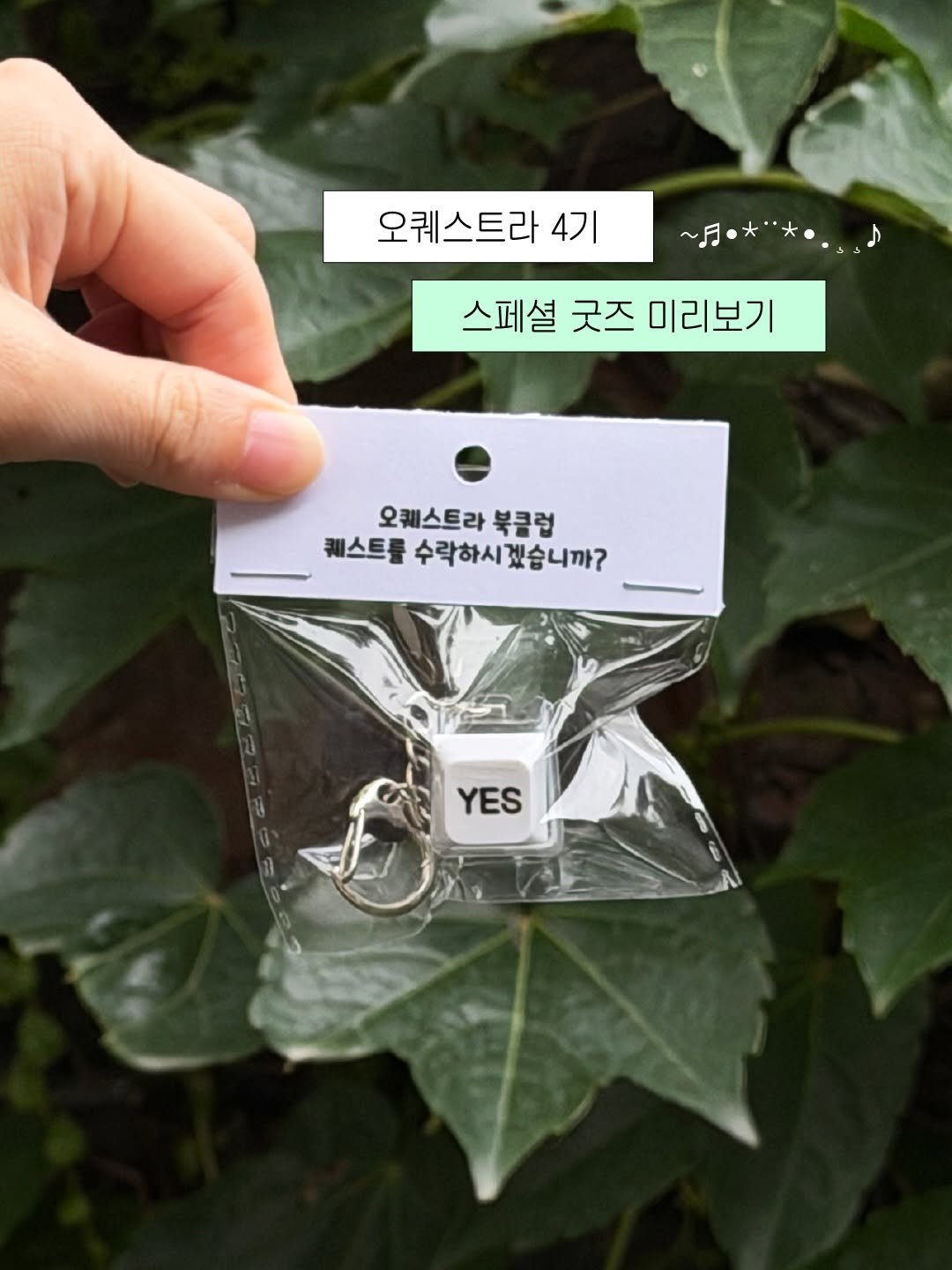 thequest_book 게시물 이미지: 🎹📚 오퀘스트라 4기 스페셜 굿즈 미리보기!

❝퀘스트를 수락하시겠습니까?❞

수락...