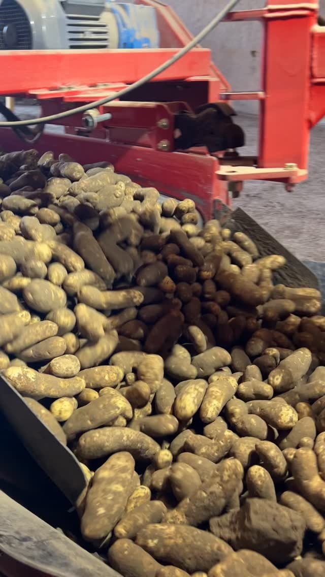 therockymountainfarmer 게시물 이미지: 12 million pounds of potatoes #farmer #potato #