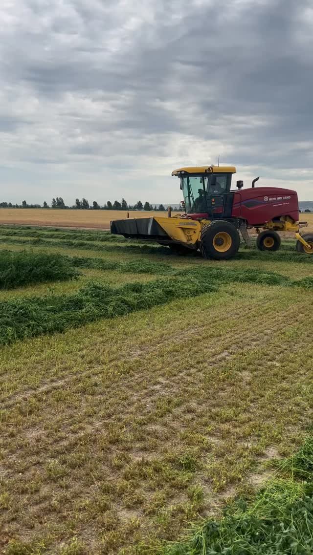 therockymountainfarmer 게시물 이미지: 3rd crop hay. Here we go. #farming #agriculture