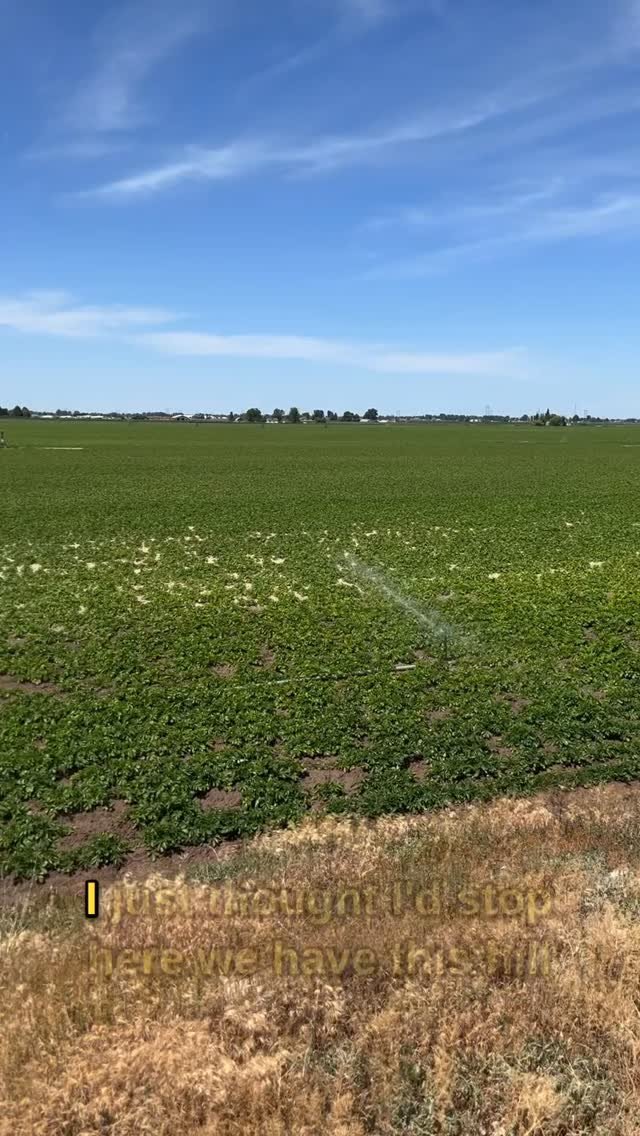 therockymountainfarmer 게시물 이미지: 3 crops side by side. #farming #agriculture #sh