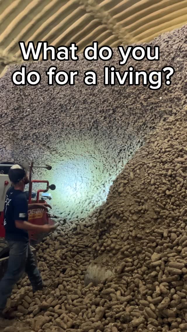 therockymountainfarmer 게시물 이미지: It’s a spudslide! #farm #farming #agriculture