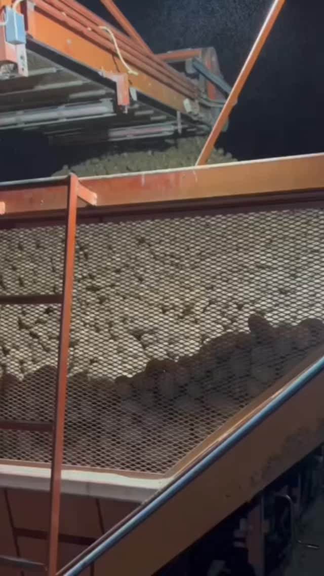 therockymountainfarmer 게시물 이미지: 11 million pounds of potatoes #potato #farming