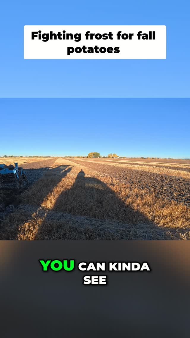 therockymountainfarmer 게시물 이미지: Preparing your potato field for next year....