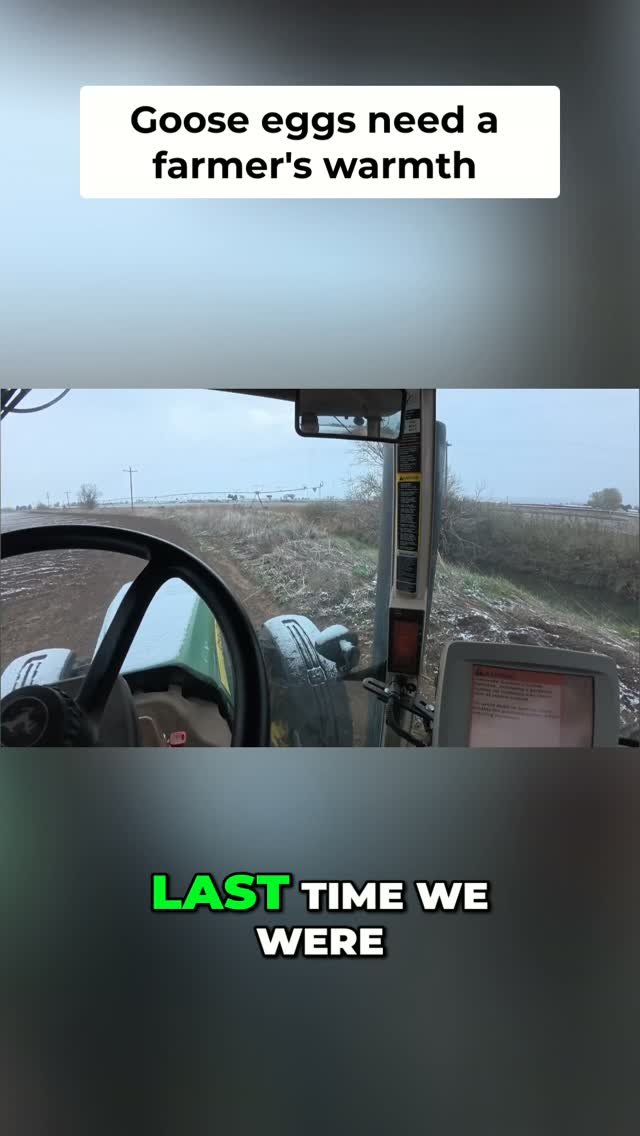 therockymountainfarmer 게시물 이미지: From plowing fields to planting potatoes, then...