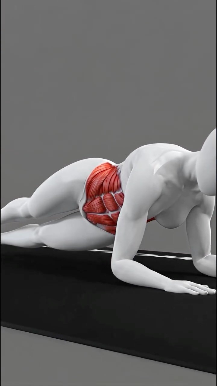 thesquatchallenge 게시물 이미지: Plank Hip Dips — Do Them Right

Start in a low...