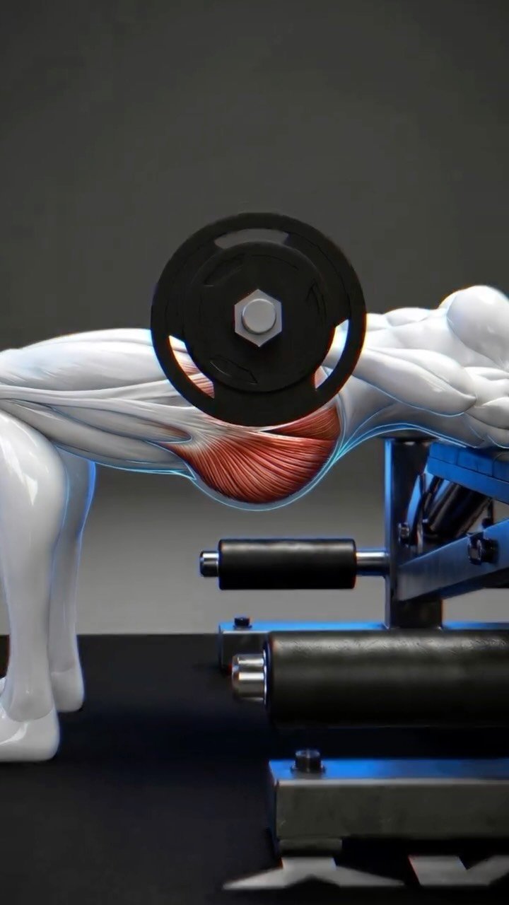 thesquatchallenge 게시물 이미지: Barbell Hip Thrust 🍑

The barbell hip thrust...