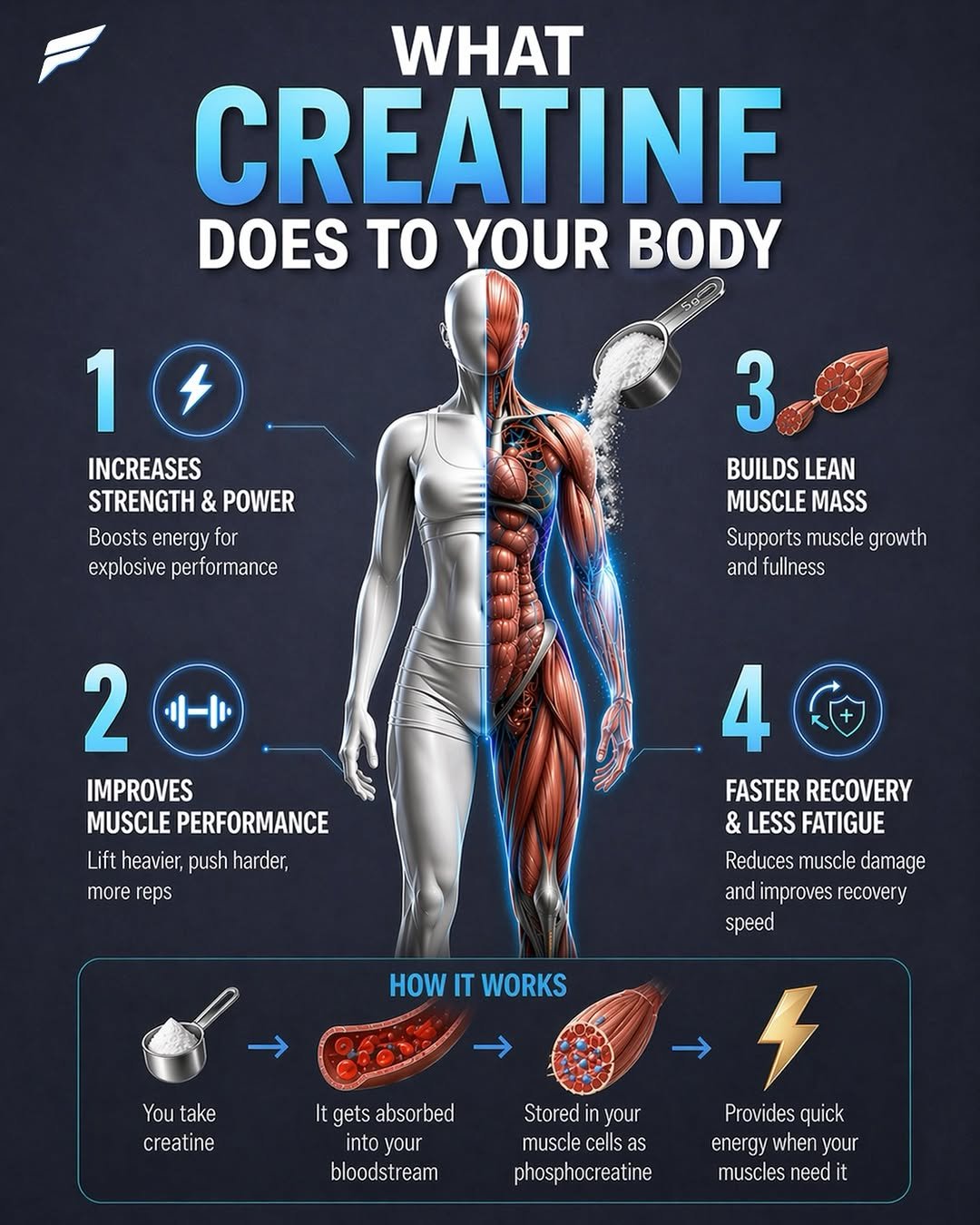thesquatchallenge 게시물 이미지: What Creatine Really Does

Boosts strength and...